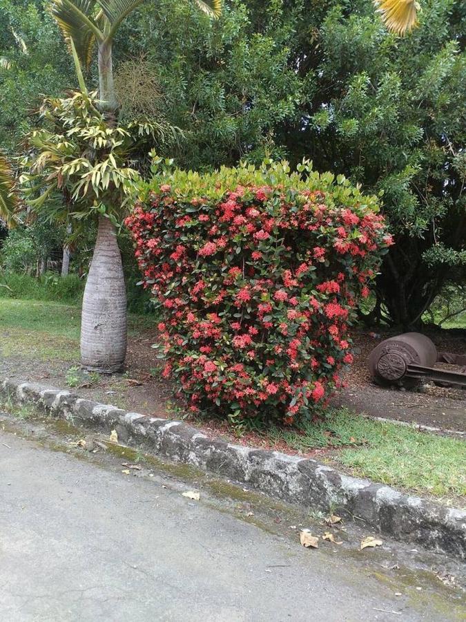 , Haven Of Peace And Villa *